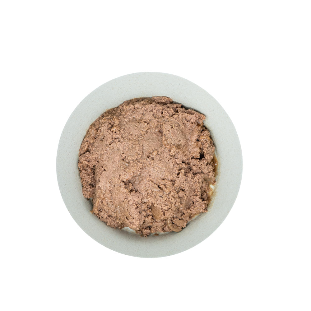 Puppy meal time with Amazon Basics branding