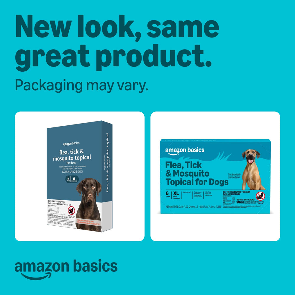 Amazon Basics spot-on bottle shown for easy application on a large dog