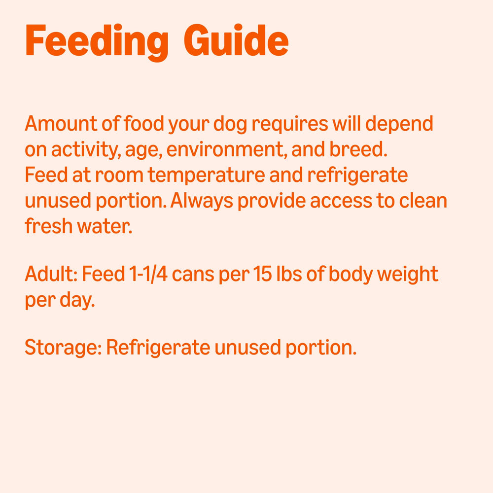 Amazon Basics Wet Dog Food bowl with a dog enjoying meal illustrates mealtime delight.