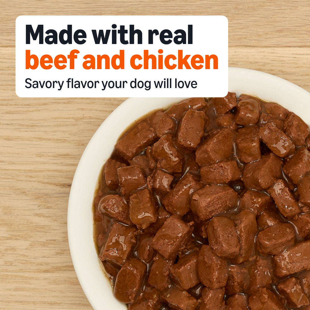 Amazon Basics Wet Dog Food filet mignon gravy on plate highlights convenient, tasty meal option.