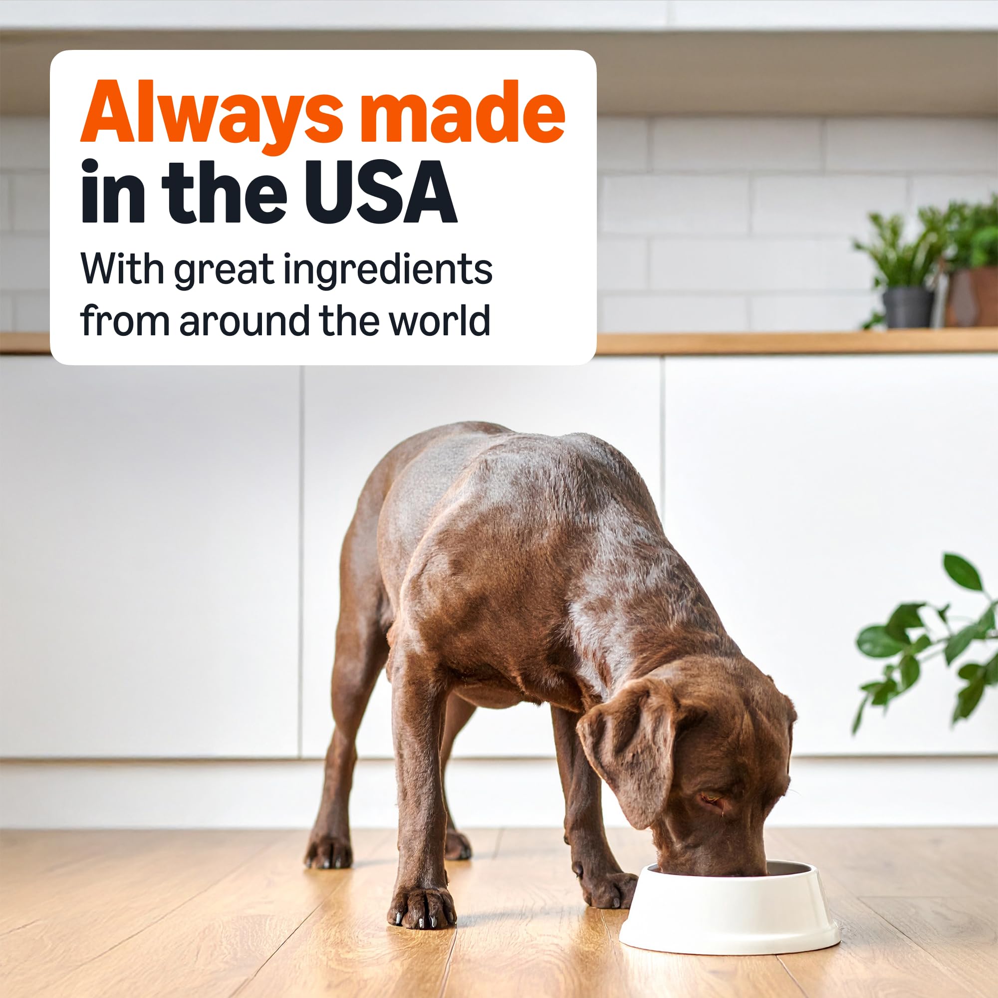 Amazon Basics can close-up label USA-made indicating quality ingredients