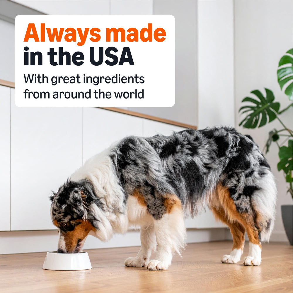 Amazon Basics Wet Dog Food serving with dry food demonstrates versatility for meals.