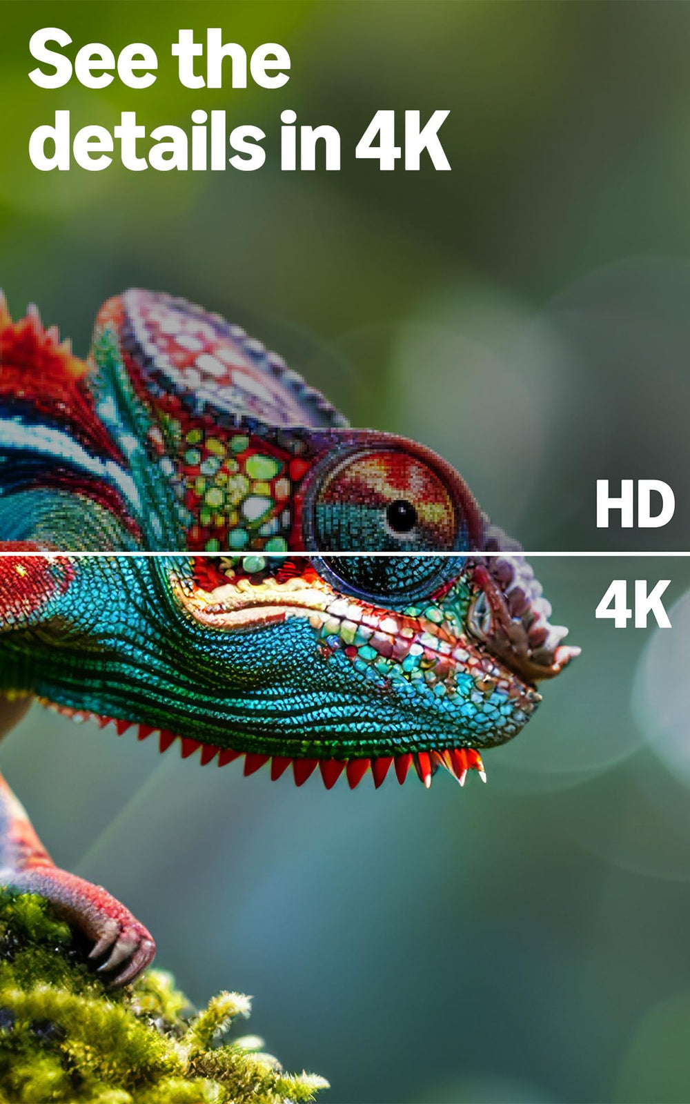 Amazon Fire TV 4-Series Omnisense wakes to artwork as you approach.