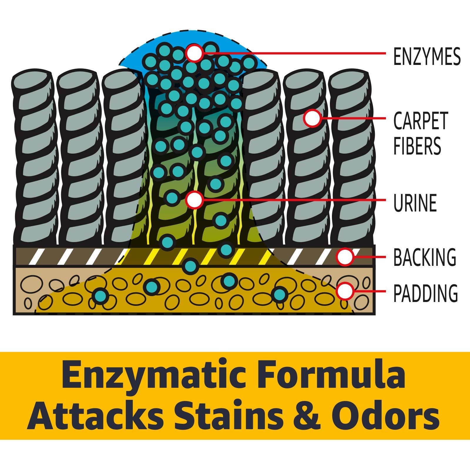 AmazonCommercial carpet spot clean removal emphasizes targeted stain treatment