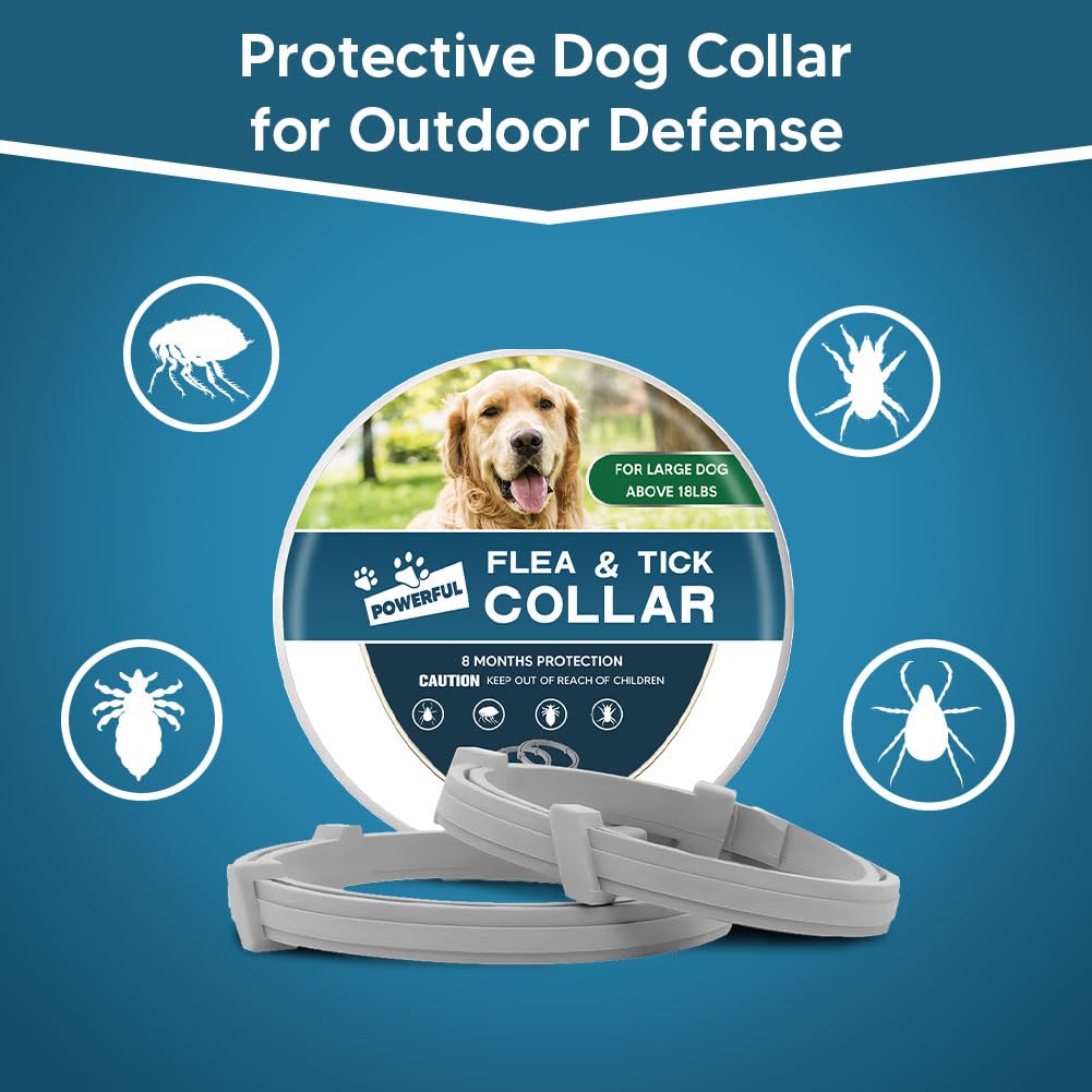 AMDEIUR flea collar adjustable buckle close-up.