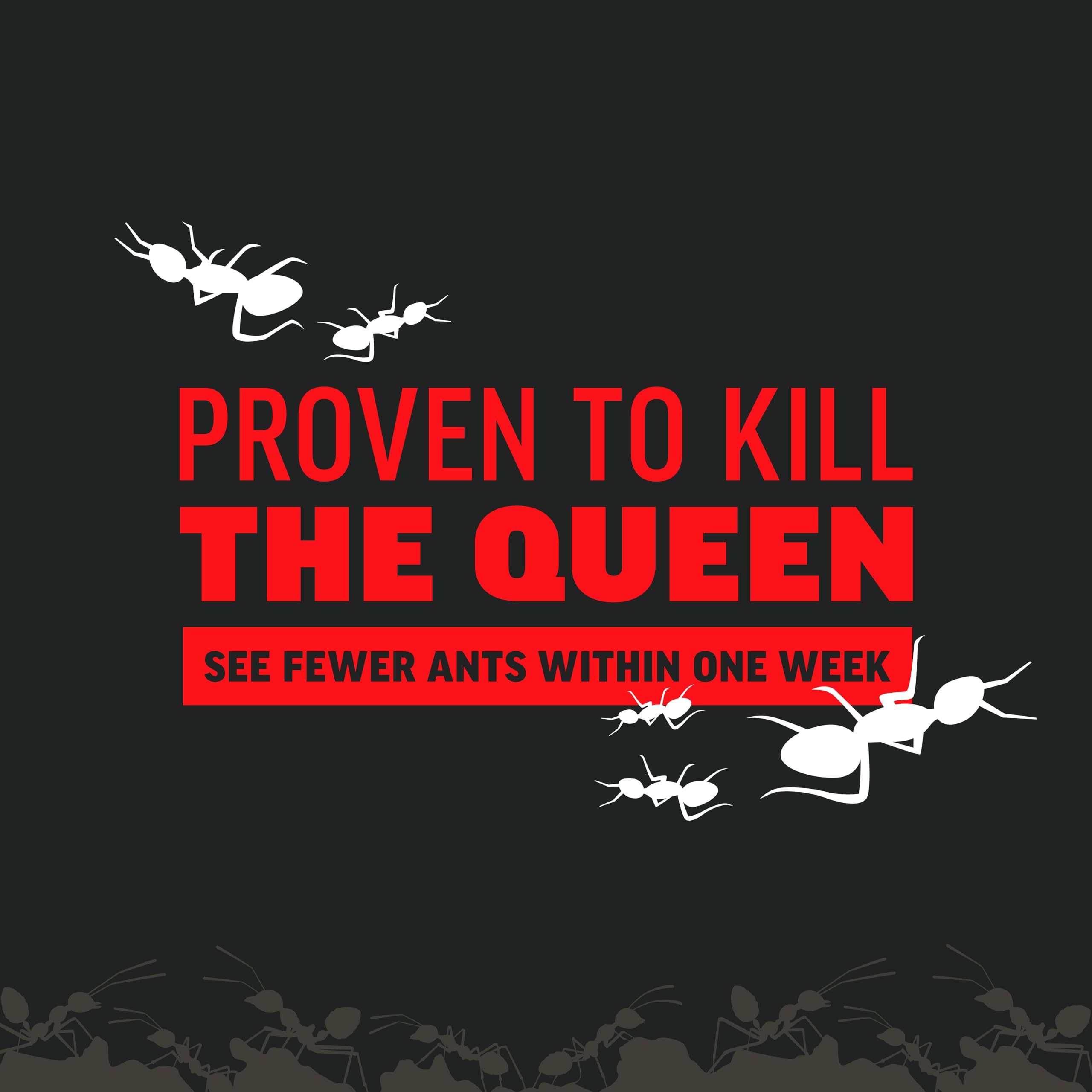 Amdro ant killer works up to three months reducing ant visits
