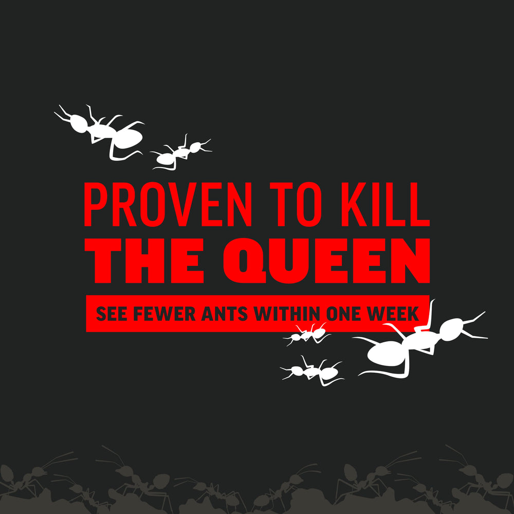 Amdro ant killer works up to three months reducing ant visits