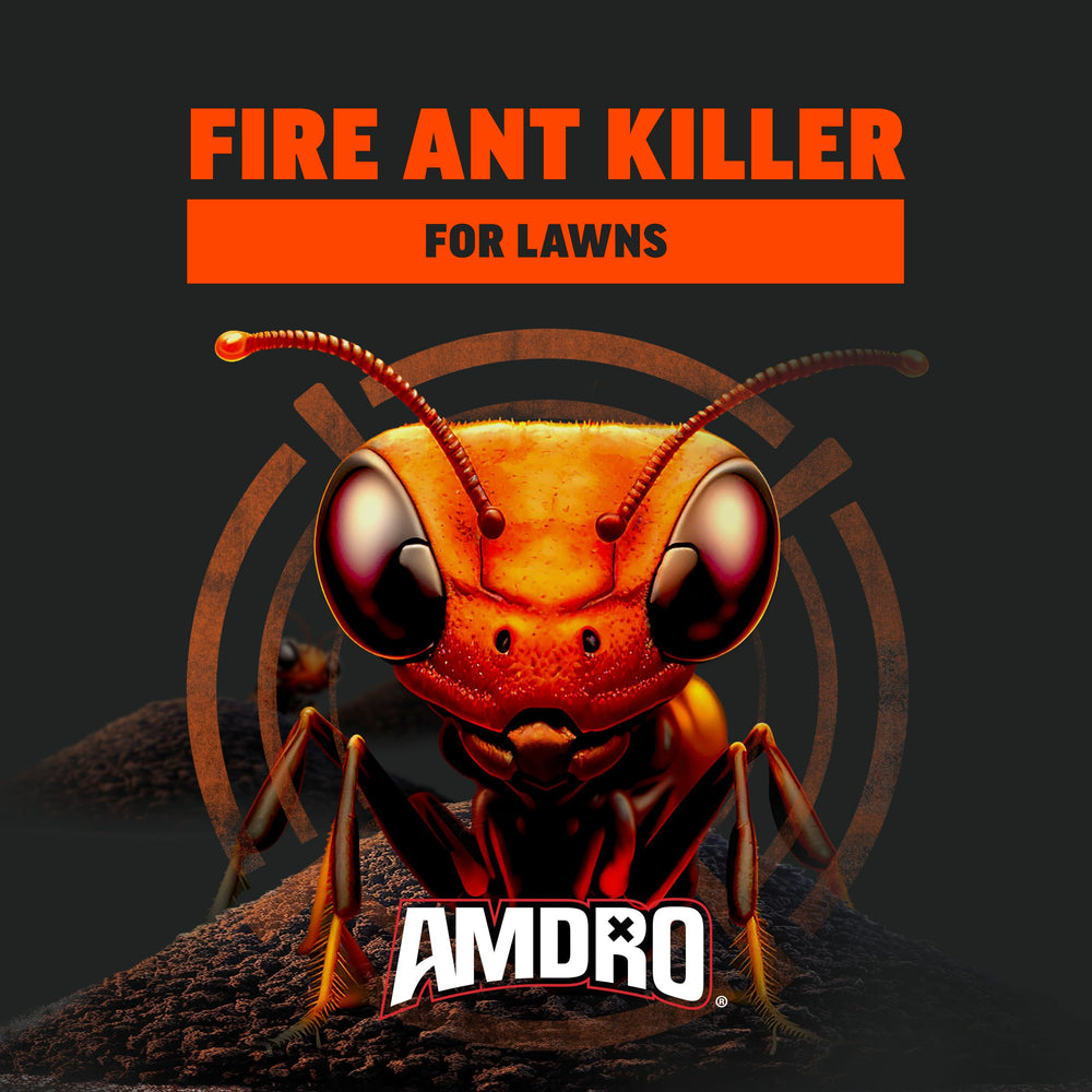Apply in early morning or late afternoon for peak ant activity.