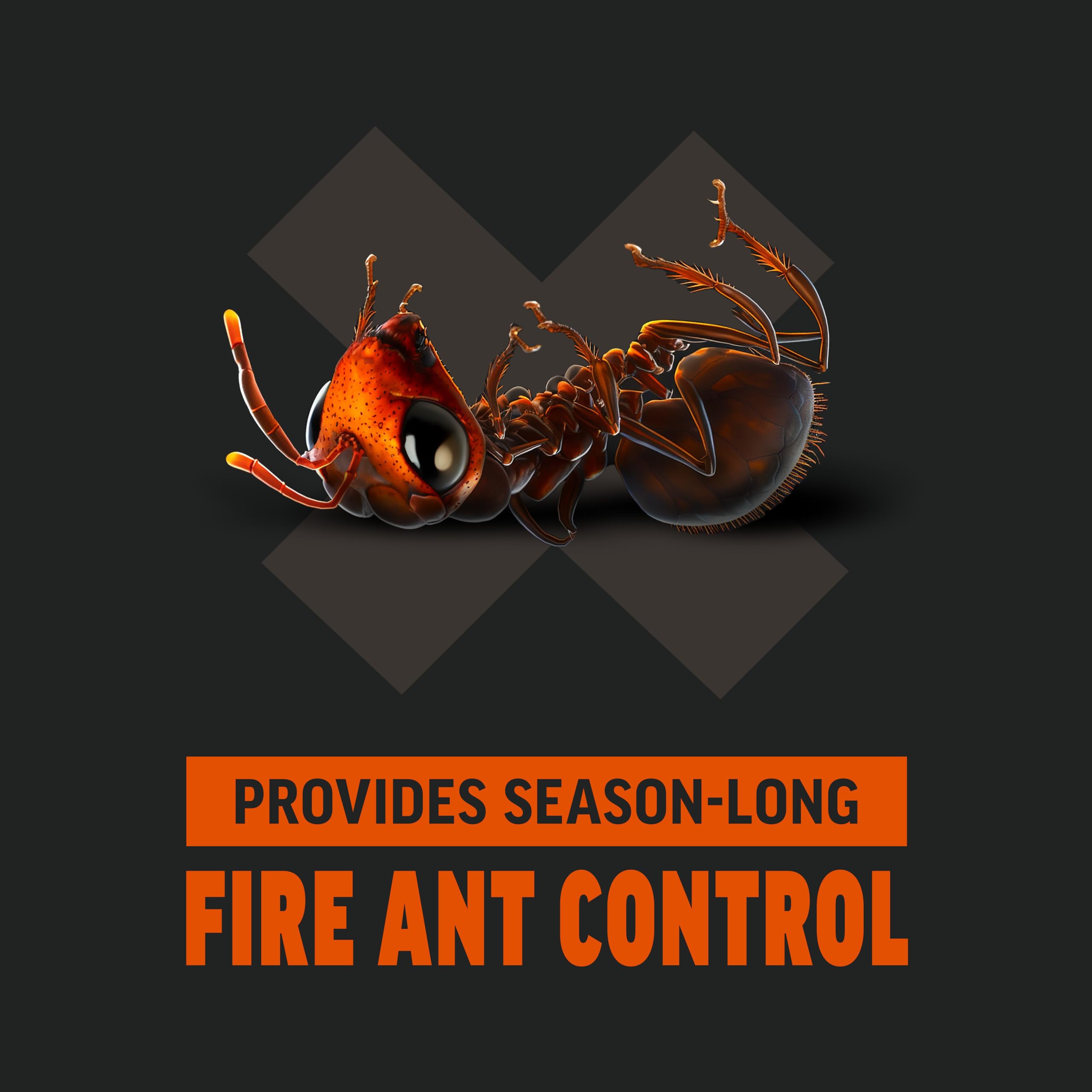 Amdro bait is carried by foraging ants into the nest.