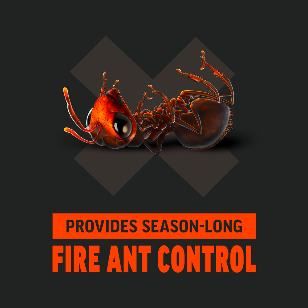 Amdro bait is carried by foraging ants into the nest.