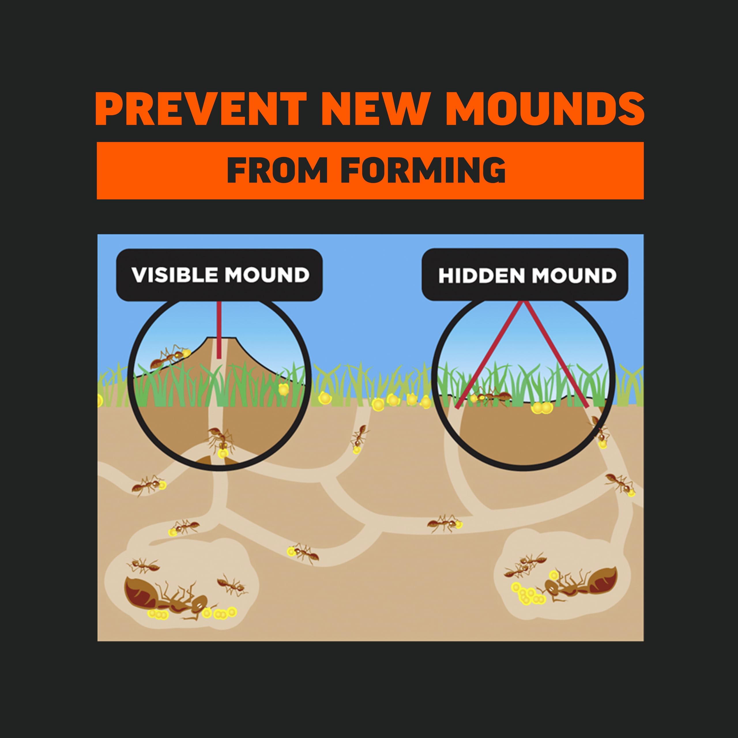 Amdro Fire Ant Killer is effective around lawns, flower beds, shrubs, and trees.
