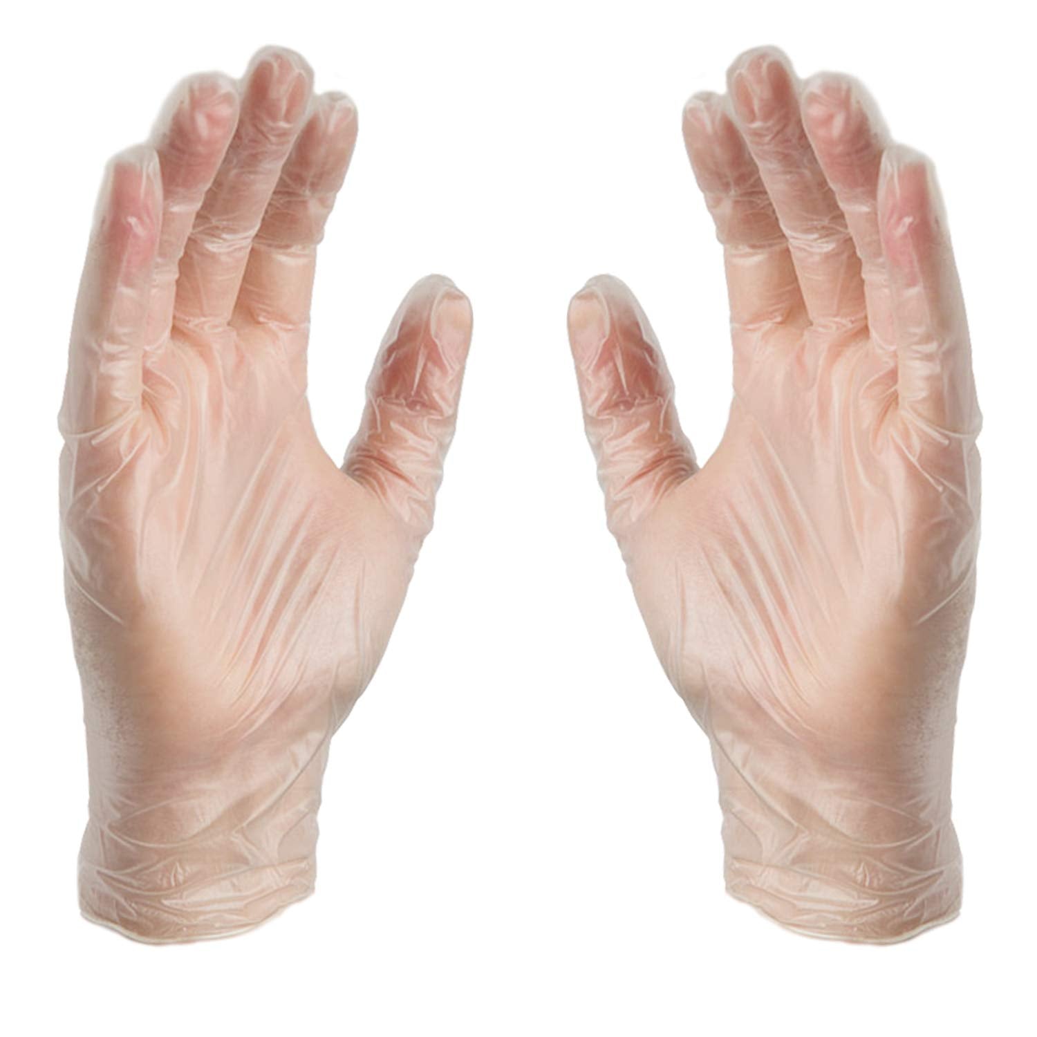 AMMEX vinyl gloves for light-duty use, easy to don and change during tasks.