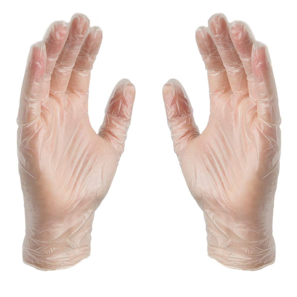 AMMEX vinyl gloves for light-duty use, easy to don and change during tasks.