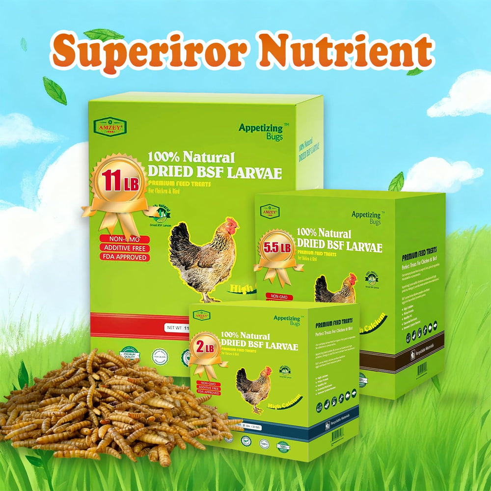 Easy feeding: Amzey BSF larvae scattered on ground for pets.