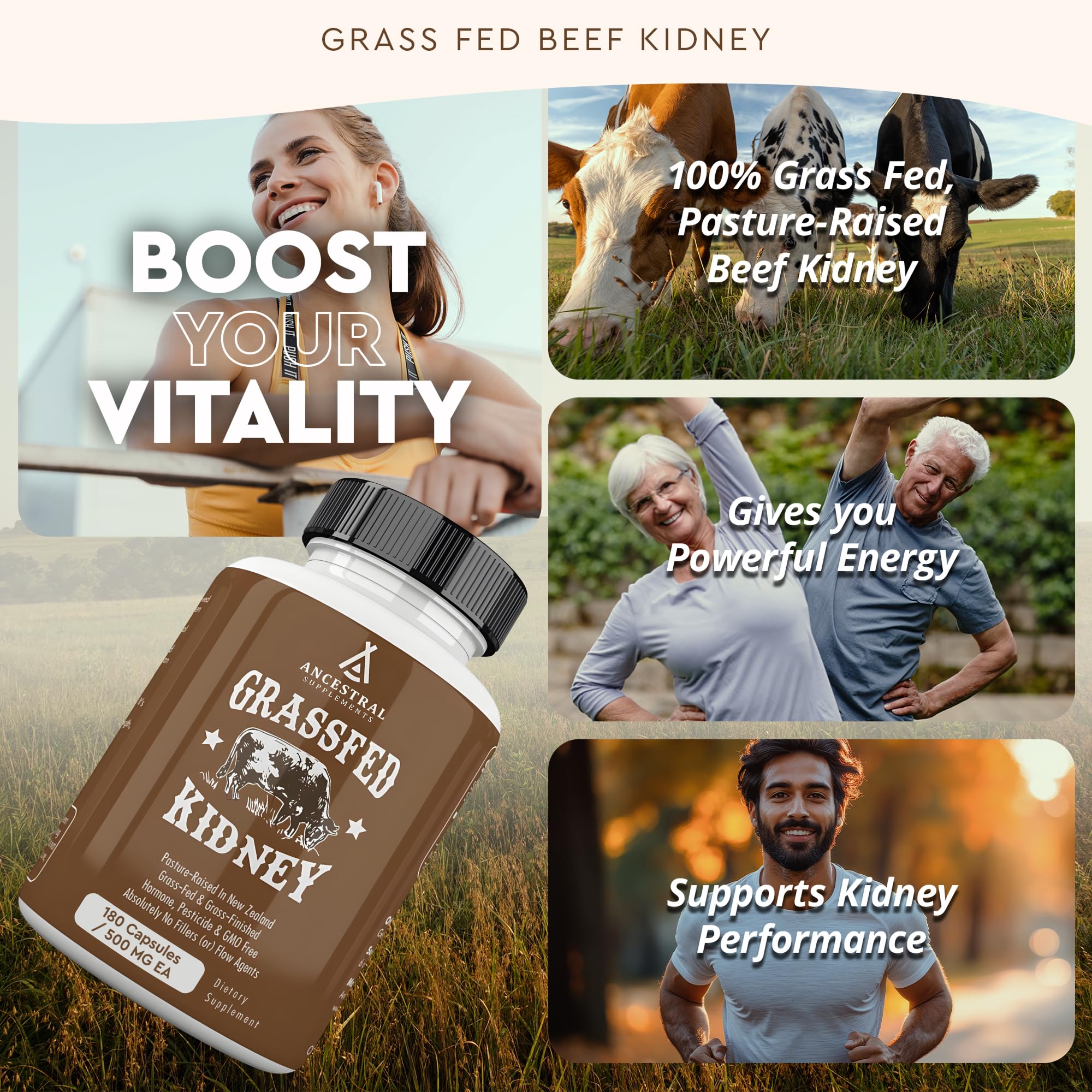 Ancestral Supplements DAO enzyme label highlighting histamine balance support.
