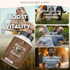 Ancestral Supplements DAO enzyme label highlighting histamine balance support.