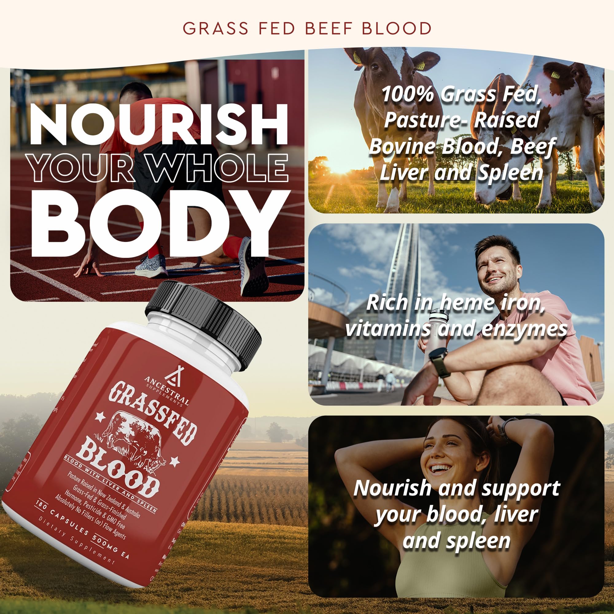 Close-up of capsules highlights bioavailable iron and B12 in a practical daily form