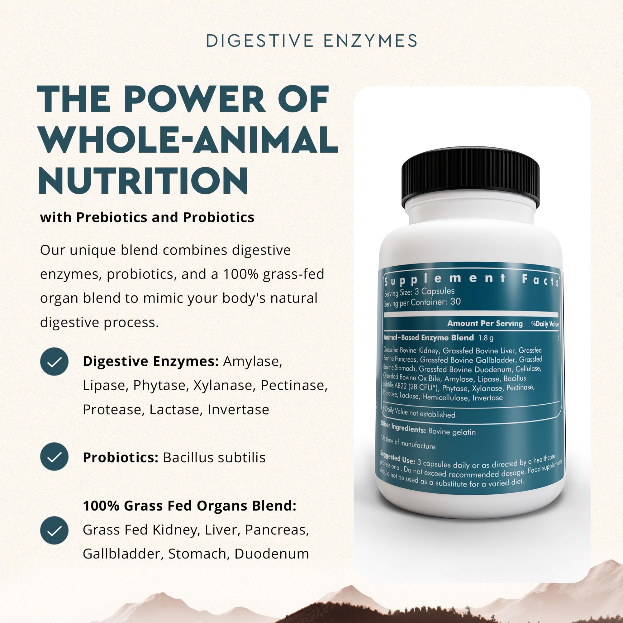 Ancestral Supplements probiotic bottle promoting gut health with Bacillus subtilis.