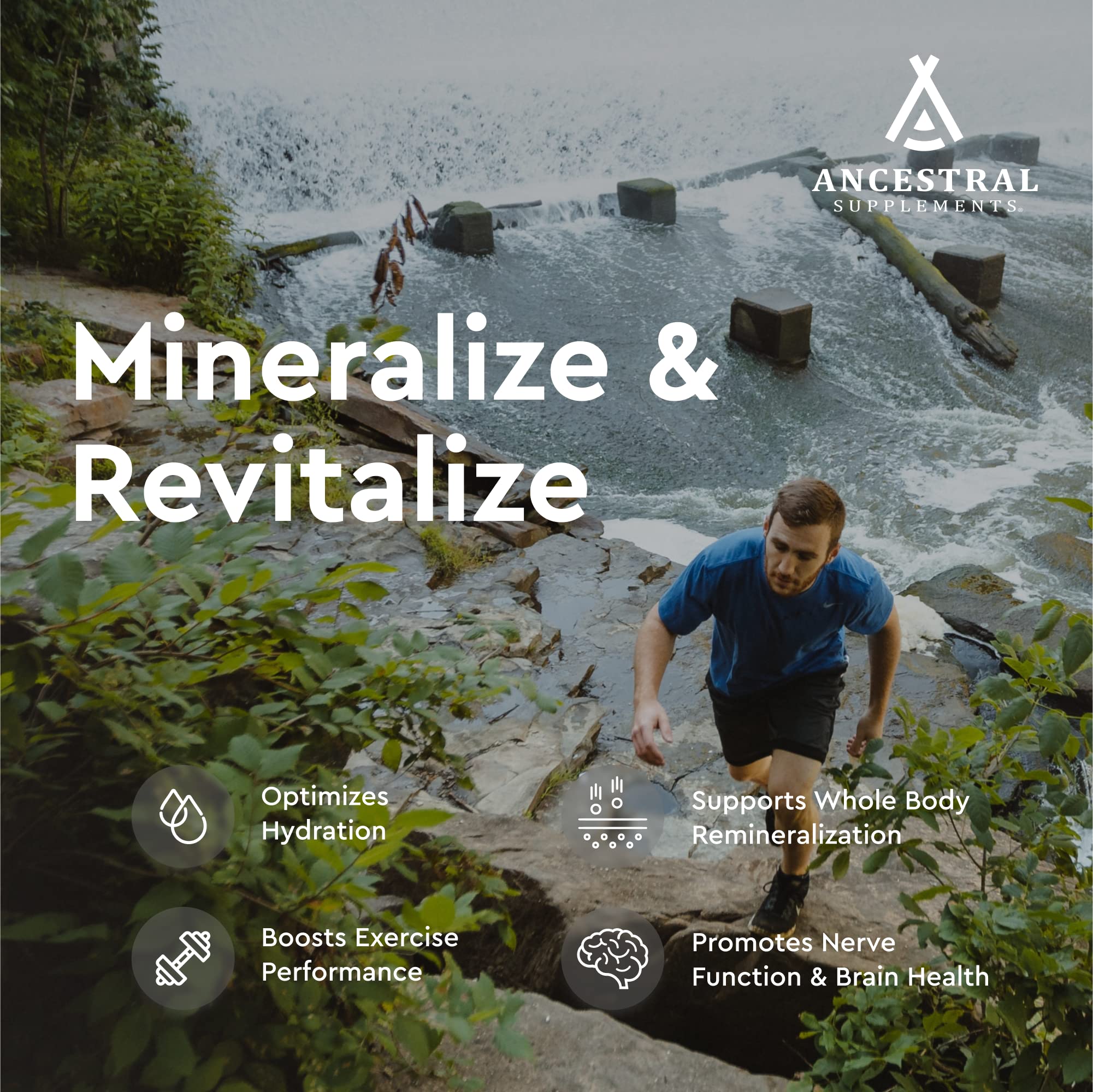 Ancestral Supplements wild-harvested ingredients like kelp and bee pollen highlight natural mineral sources.