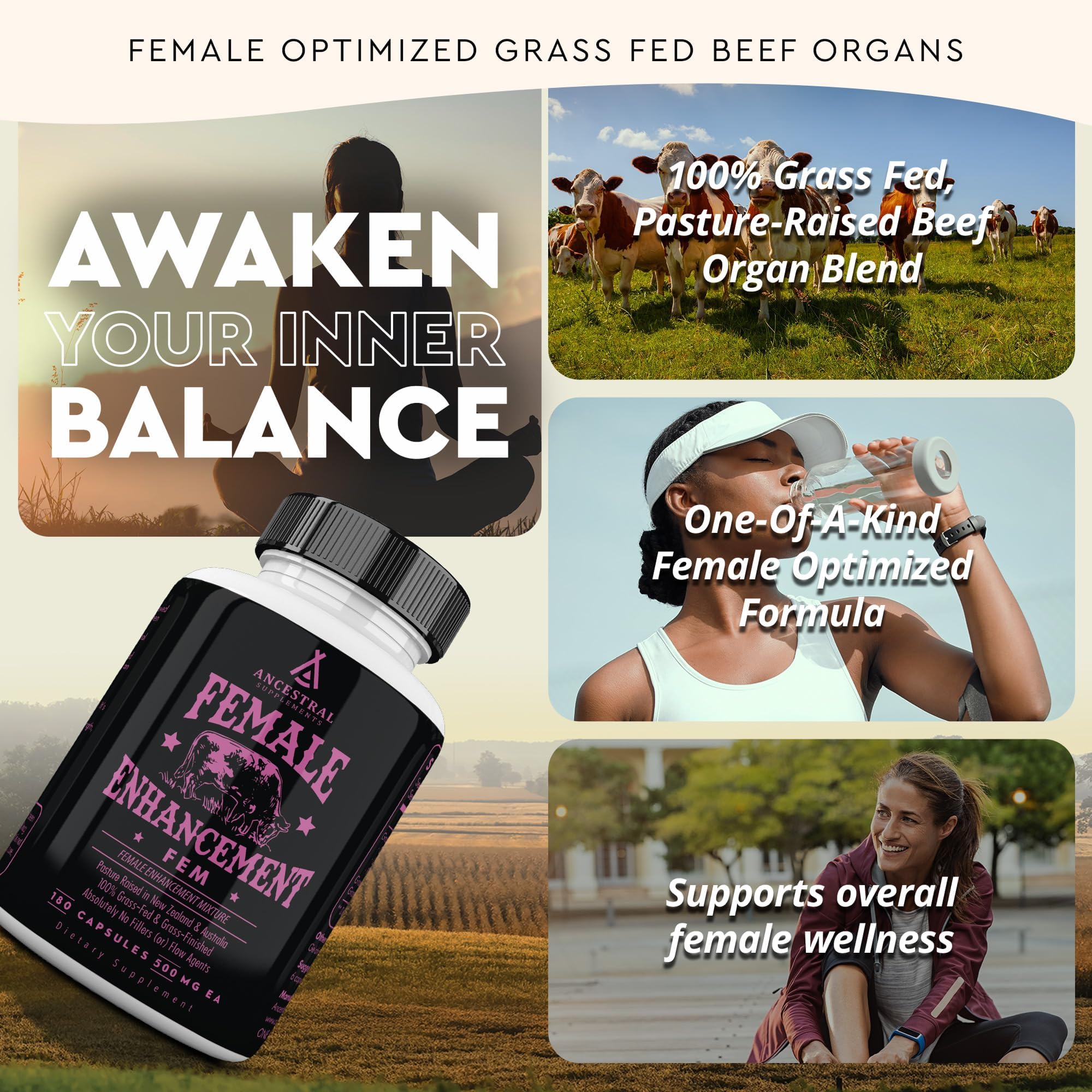 Ancestral Supplements ovary–fallopian tube blend image illustrating female support.