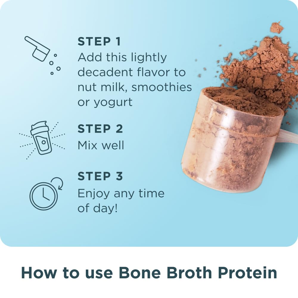 Ancient Nutrition bone broth protein powder chocolate hot cocoa in a mug