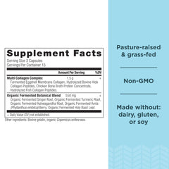 Ancient Nutrition collagen pills in daily dose setup for easy consumption.