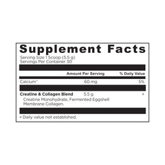 Ancient Nutrition Creatine Collagen powder texture close-up for lean body mass support