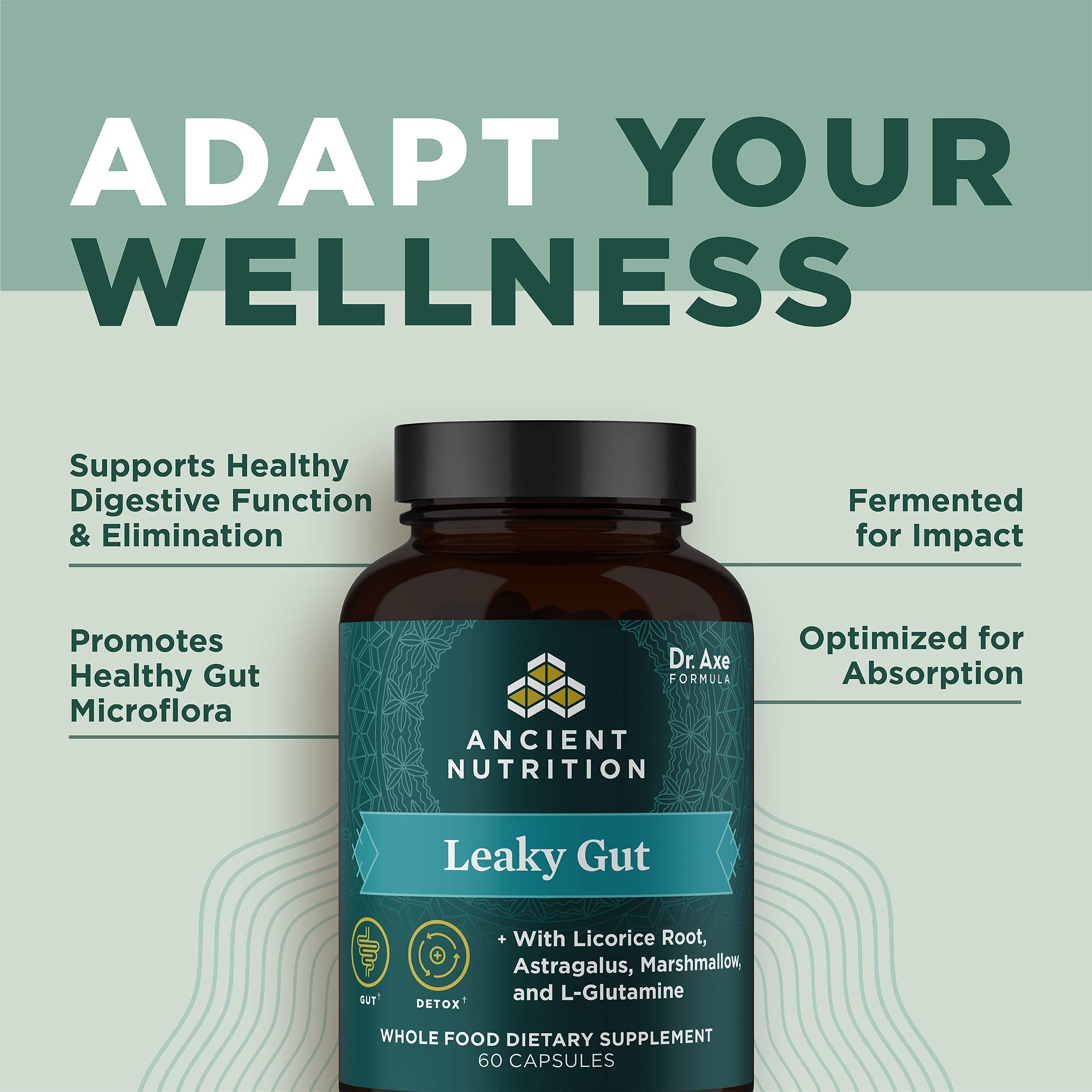 Ancient Nutrition Leaky Gut Capsules dosage shot suggests two capsules daily with water.