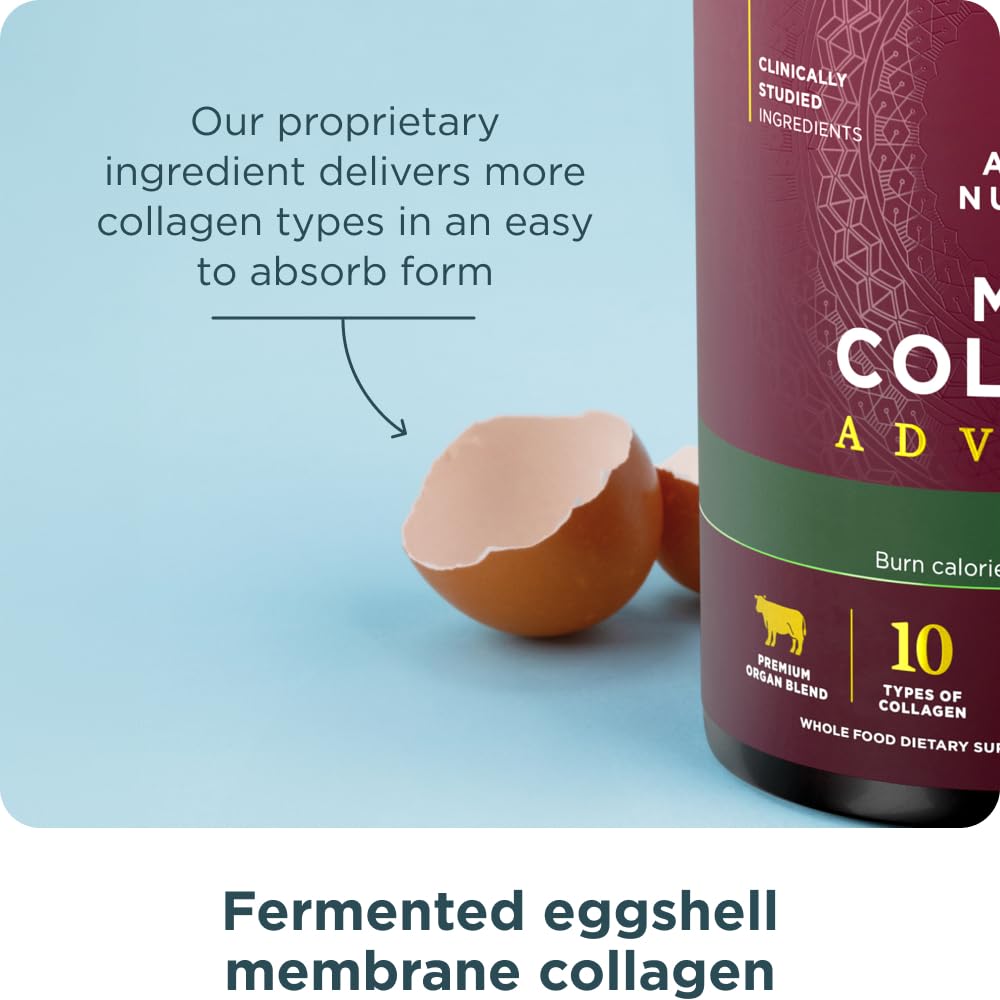 Ancient Nutrition Multi Collagen Complex Ingredients Graphic — overview of diverse collagen sources