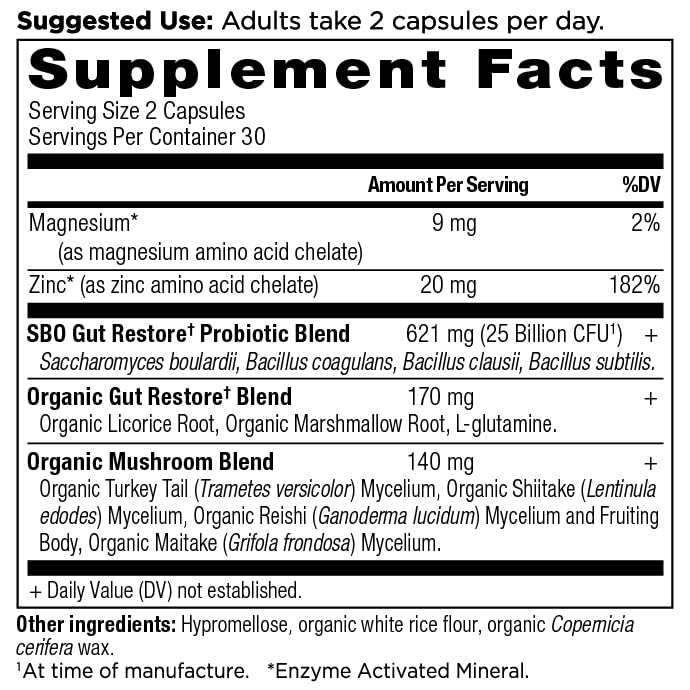 Close-up of Ancient Nutrition SBO Gut Restore capsules for daily digestion.