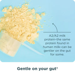 Ancient Nutrition vanilla bean flavor scoop shows easy, tasty protein serving.