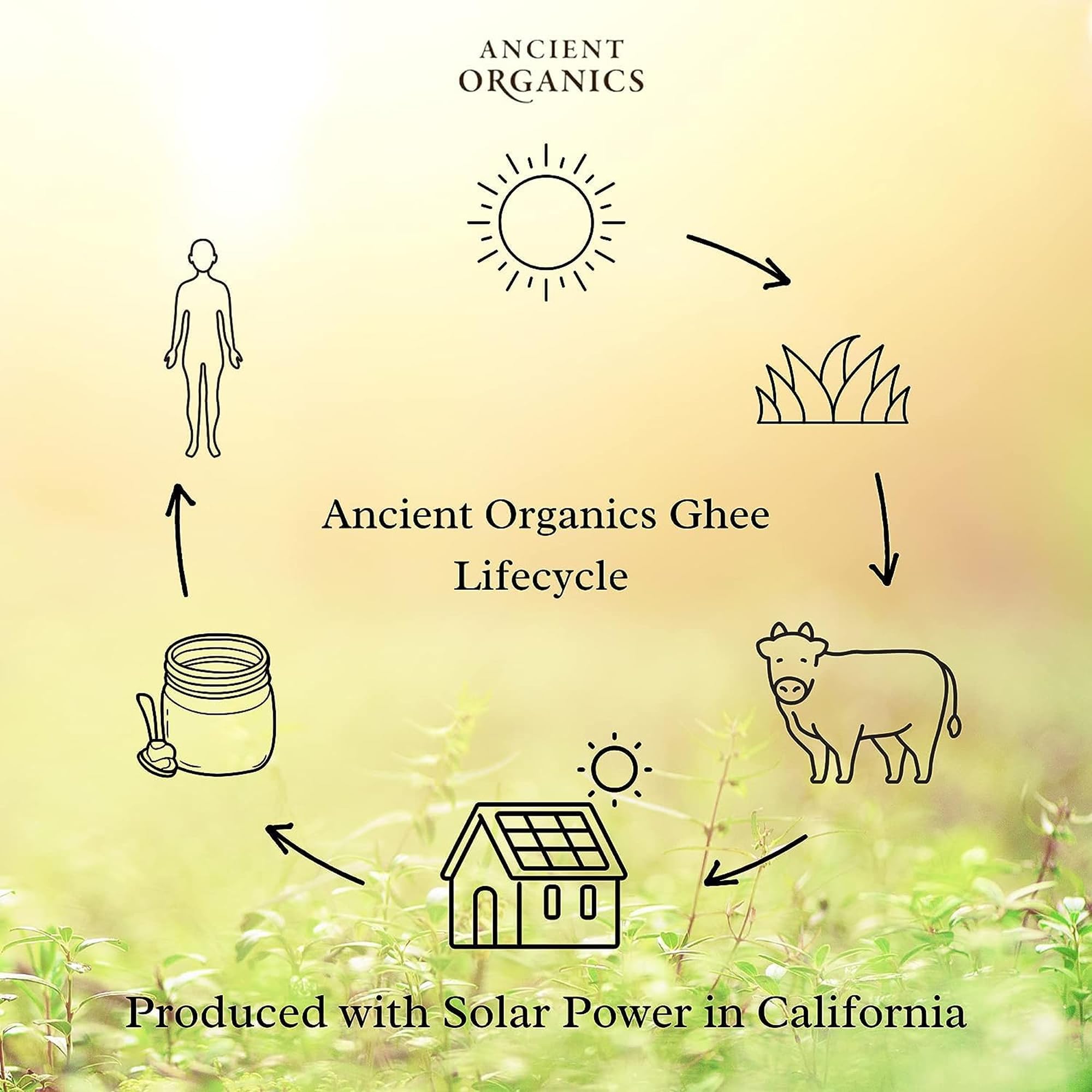 Ancient Organics Ghee ready to elevate everyday cooking in the kitchen