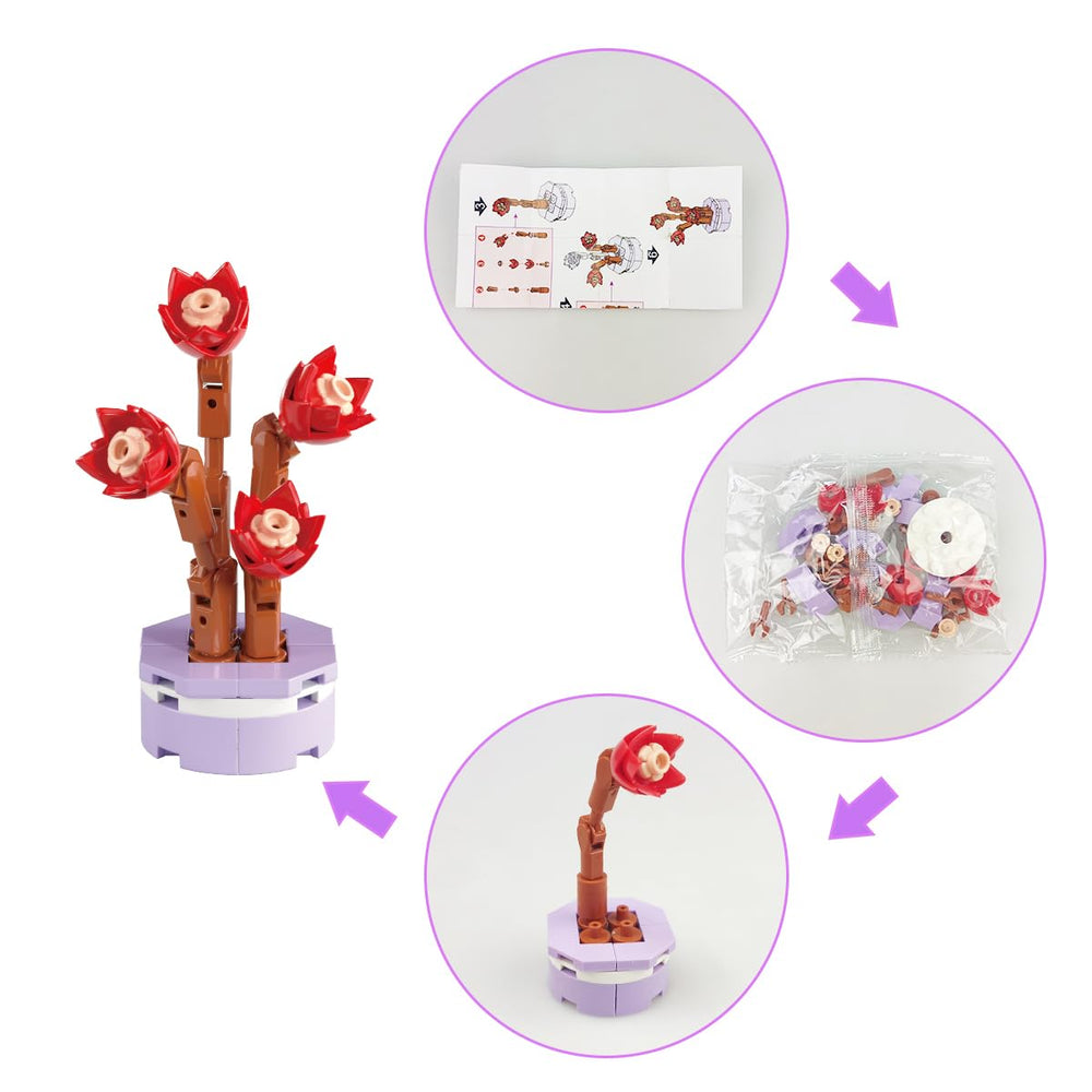 Anditoy succulent plants style collection offers varied building block designs.