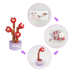 Anditoy succulent plants style collection offers varied building block designs.