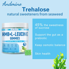 andmino HMB and L-Leucine Gummies ingredients highlight HMB and leucine for muscle support.