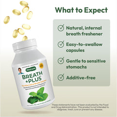 Peppermint oil detail signals fresh flavor and aroma within Breath Plus.