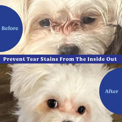 ANGELS' EYES Natural Plus curcumin and vitamin E for overall wellness