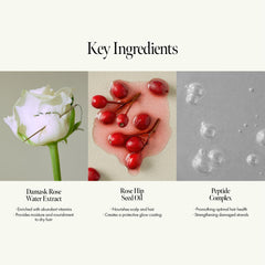 ANILLO Damask rose water extract close-up shows moisture support.