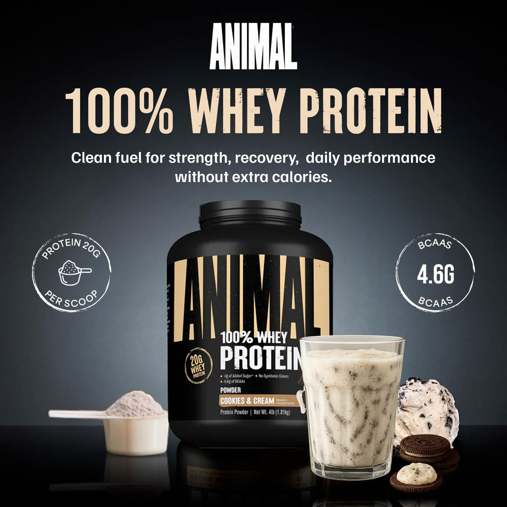 Scoop of Animal 100% Whey powder beside a shaker for mixing.
