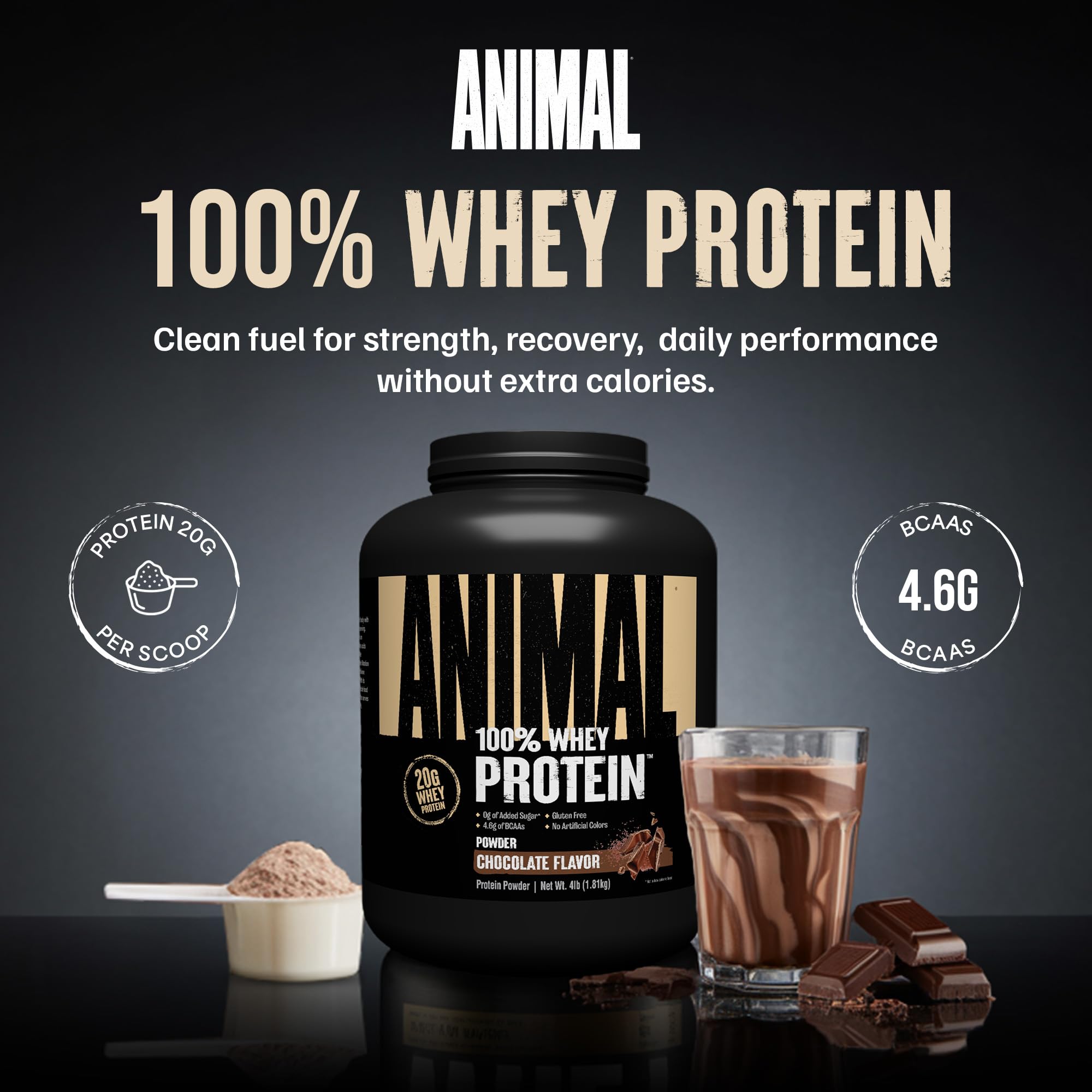 Animal 100% Whey scoop beside the tub for quick protein boosts.