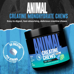 Animal Creatine Chews closeup chews—chewy texture for on-the-go workouts.