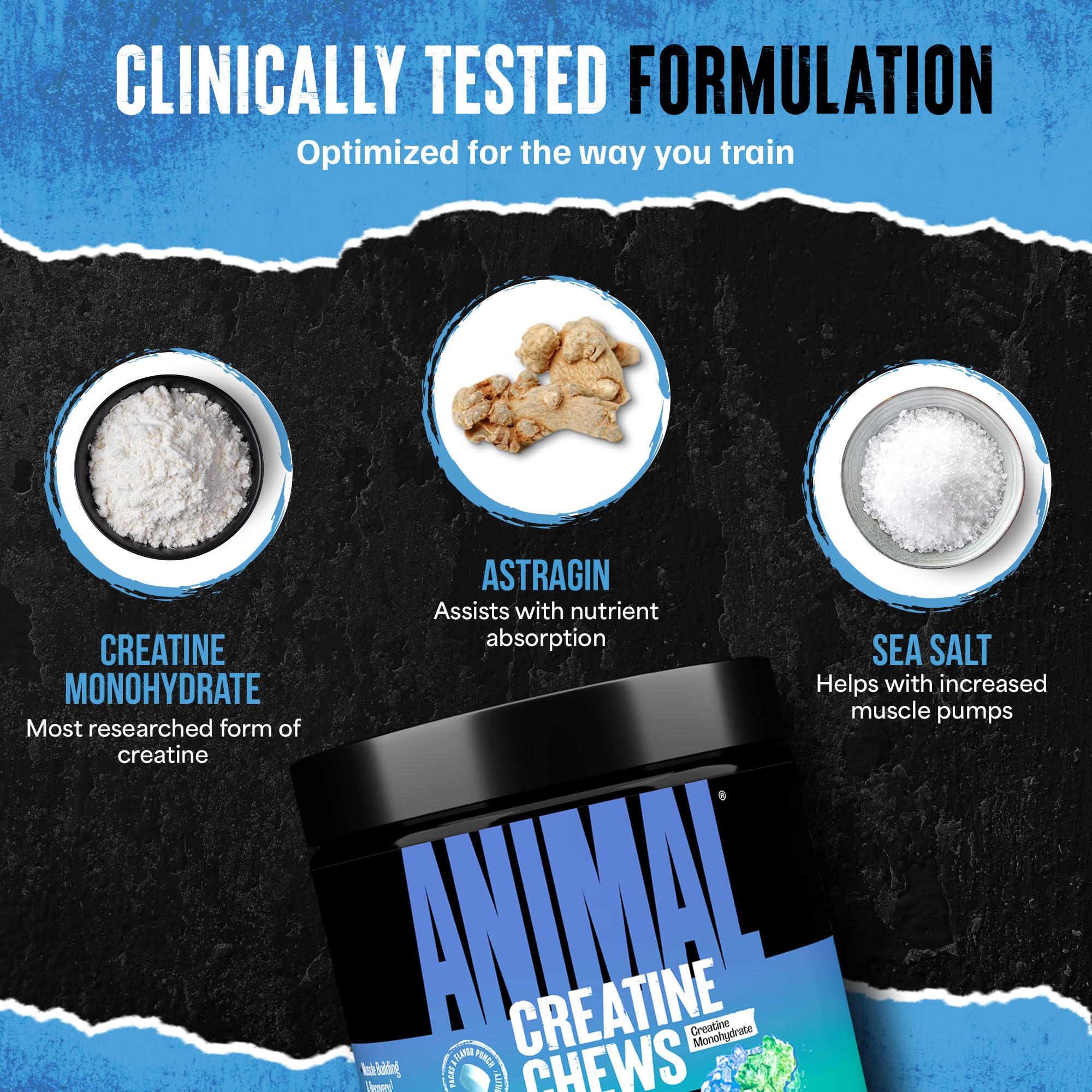 Animal Creatine Chews GMP facility label denotes quality and testing.