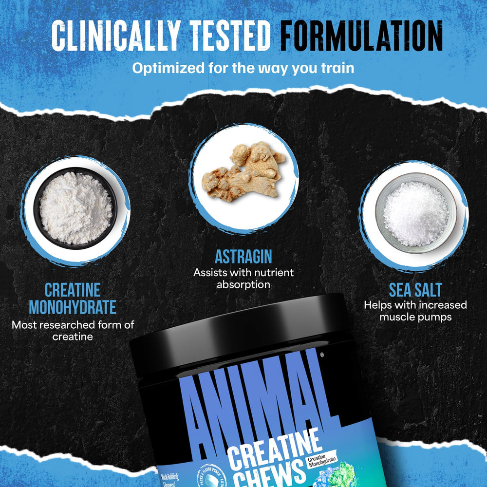 Animal Creatine Chews GMP facility label denotes quality and testing.