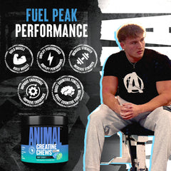 Animal Creatine Chews lemon flavor displayed for easy supplementation.