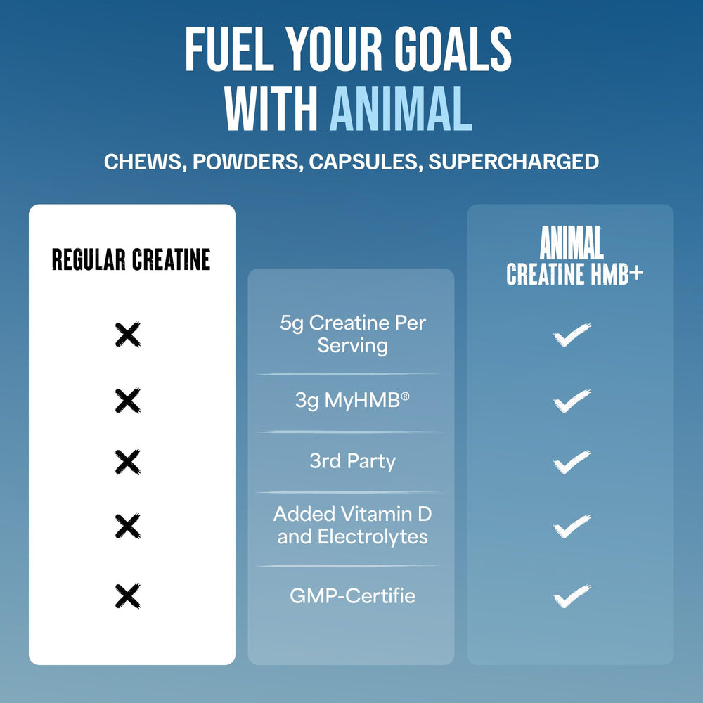 Animal Creatine HMB Powder Power Punch flavor serving