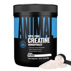 Animal Creatine Monohydrate powder bottle front showing clean label for strength and endurance.