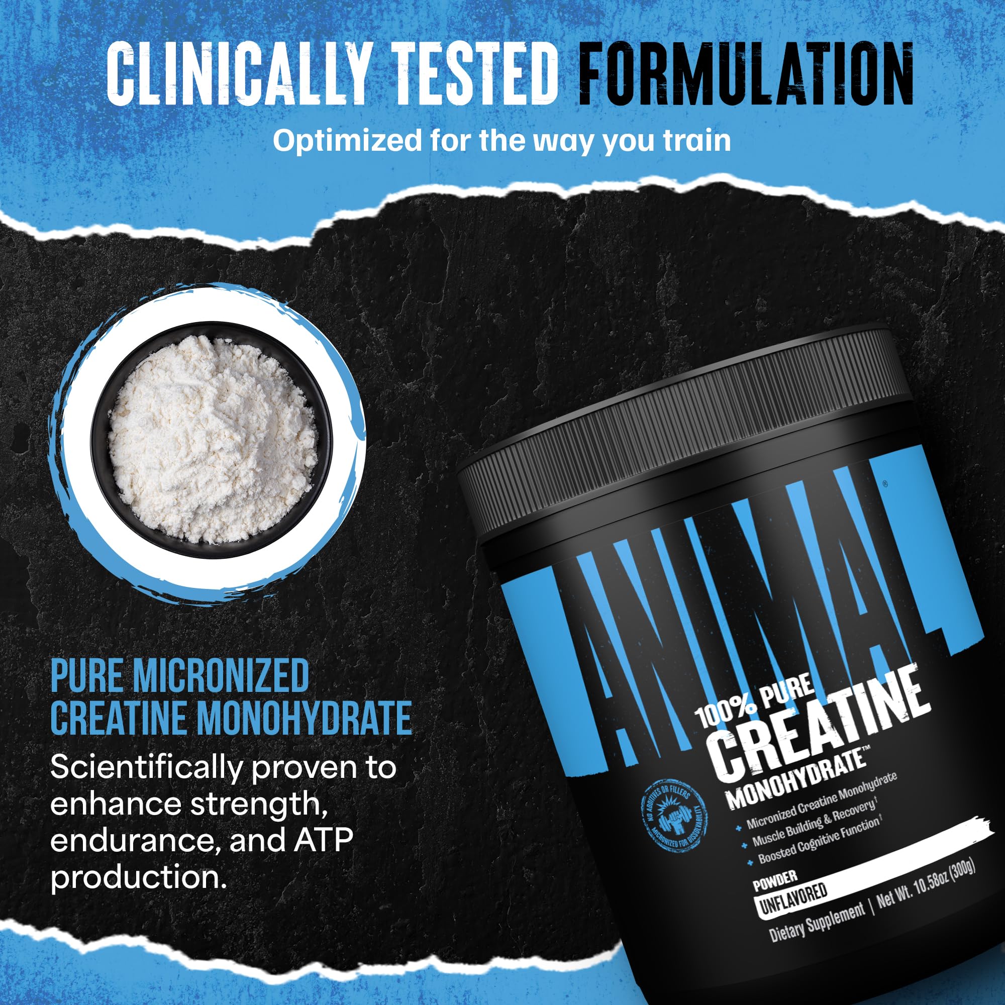 Animal Creatine Monohydrate powder serving portion for easy dosing.