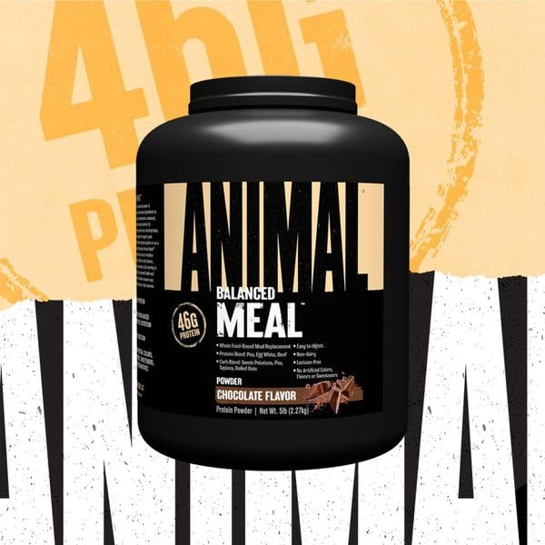 Animal Meal chocolate powder scoop highlighting the protein blend for balanced nutrition.