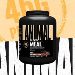 Animal Meal chocolate powder scoop highlighting the protein blend for balanced nutrition.