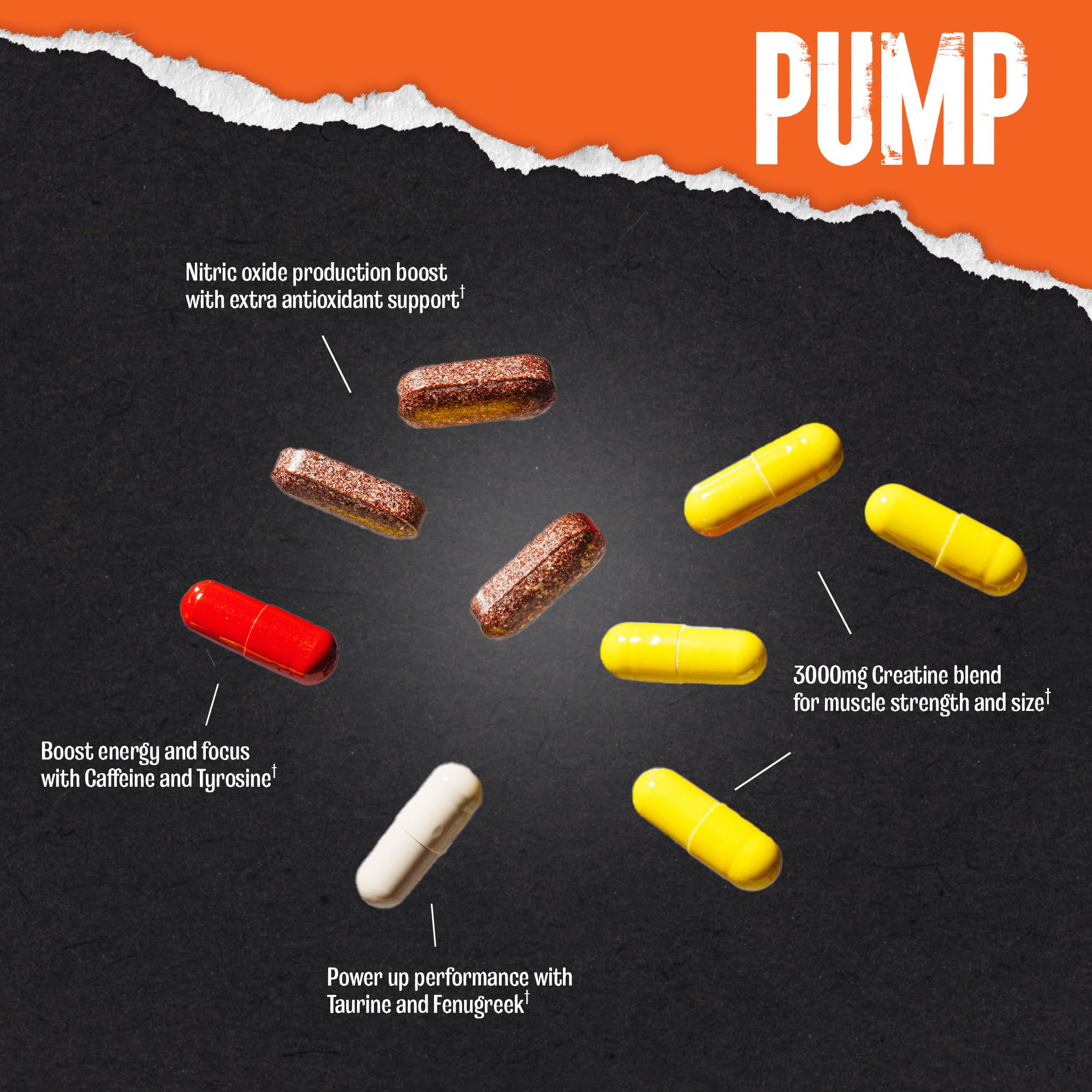 Animal Pump pack back view showing ingredients and usage guidance